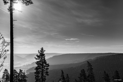 2011-11-01-11-24-51