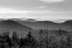 DSC_00062008-11-03