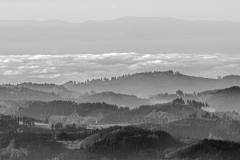 DSC_00112008-11-03