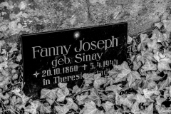 hippixs.de: Jüdischer Friedhof Blieskastel