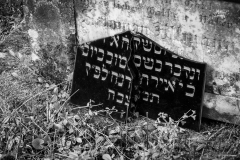 hippixs.de: Jüdischer Friedhof Blieskastel