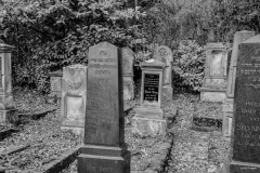 hippixs.de: Jüdischer Friedhof Blieskastel