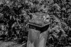 hippixs.de: Jüdischer Friedhof Blieskastel