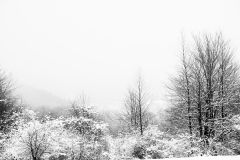 20210116-HIP_0538