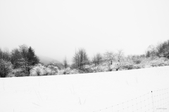 20210116-HIP_0541