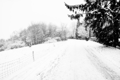 20210116-HIP_0542