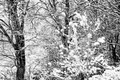 20210116-HIP_0543