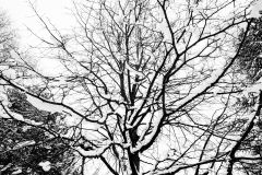 20210116-HIP_0544