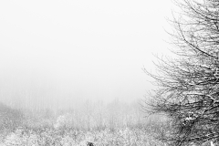 20210116-HIP_0546