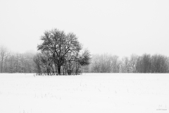 20210116-HIP_0549