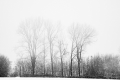 20210116-HIP_0550