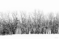 20210116-HIP_0553