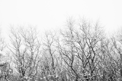 20210116-HIP_0554