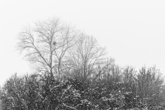 20210116-HIP_0555