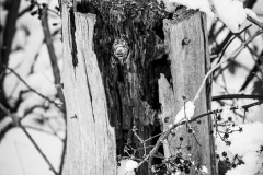 20210116-HIP_0557